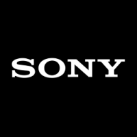 Sony Vaio Display-Schermi per Notebook e Portatili